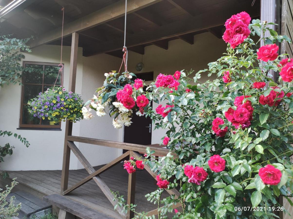 Boutigue City House With Terrace And Garden Free Parking 里加 外观 照片
