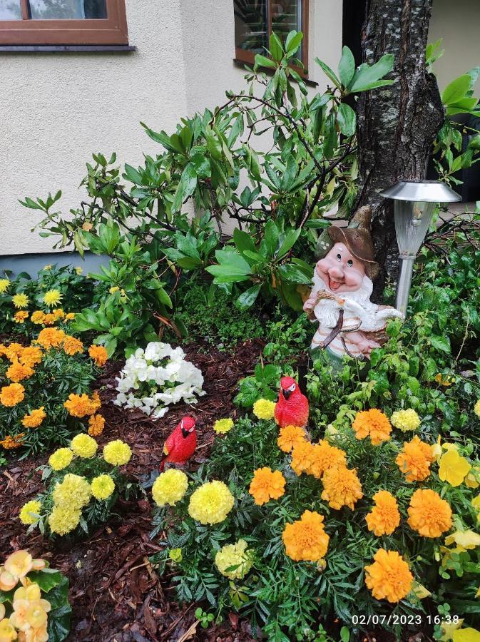 Boutigue City House With Terrace And Garden Free Parking 里加 外观 照片